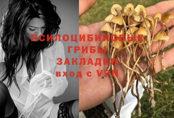 кокс Сосновоборск